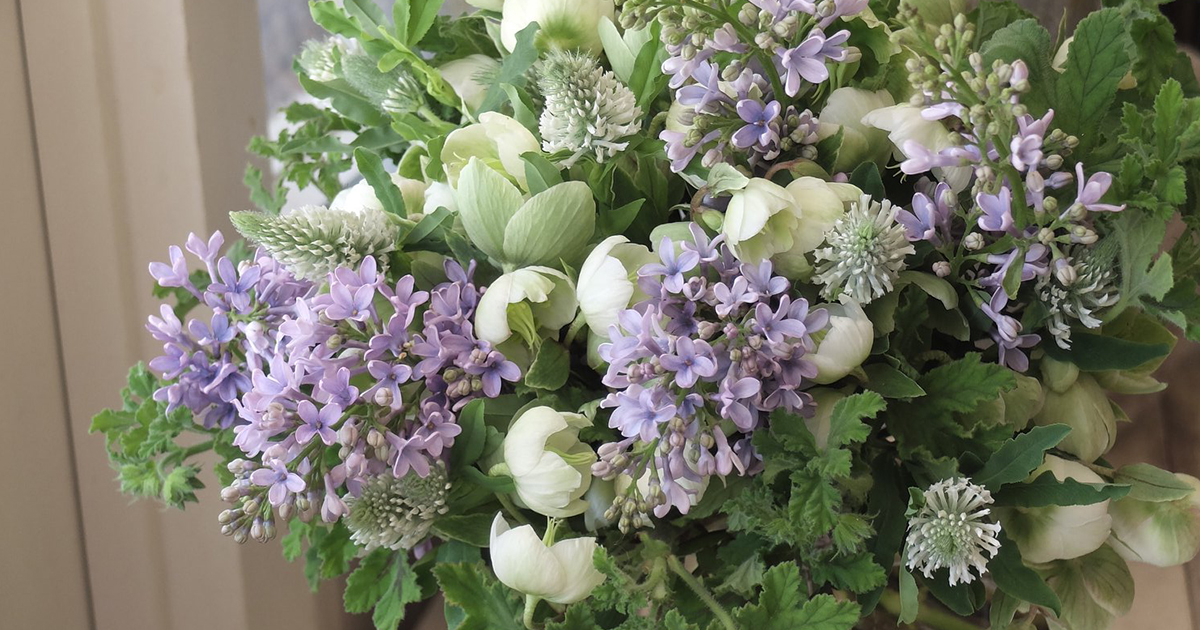 ストレスを緩和させる効果も。甘く爽やかな香りのライラックは贈り花に