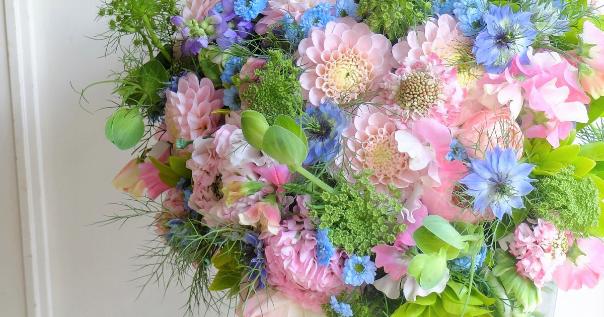 ピンクのダリア「オズの魔法使い」で心からの気持ちを表現