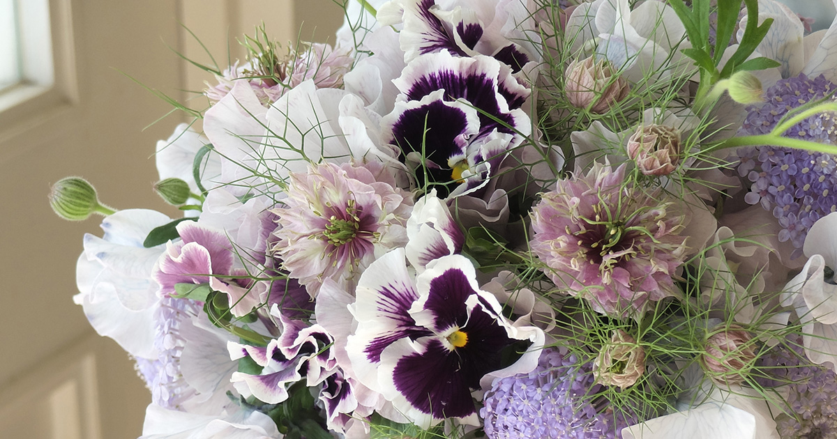 儚げな魅力をそのままブーケに。ごく淡い色合いが美しい染めスイートピー