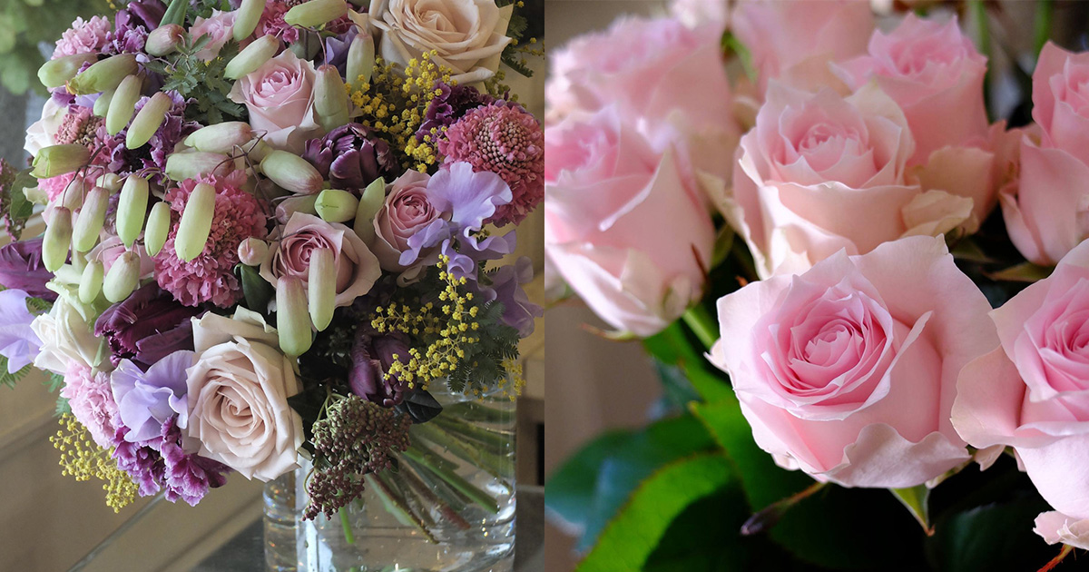 砂漠のように”乾いたピンク色が特徴のバラ「デザート」をご存じ？