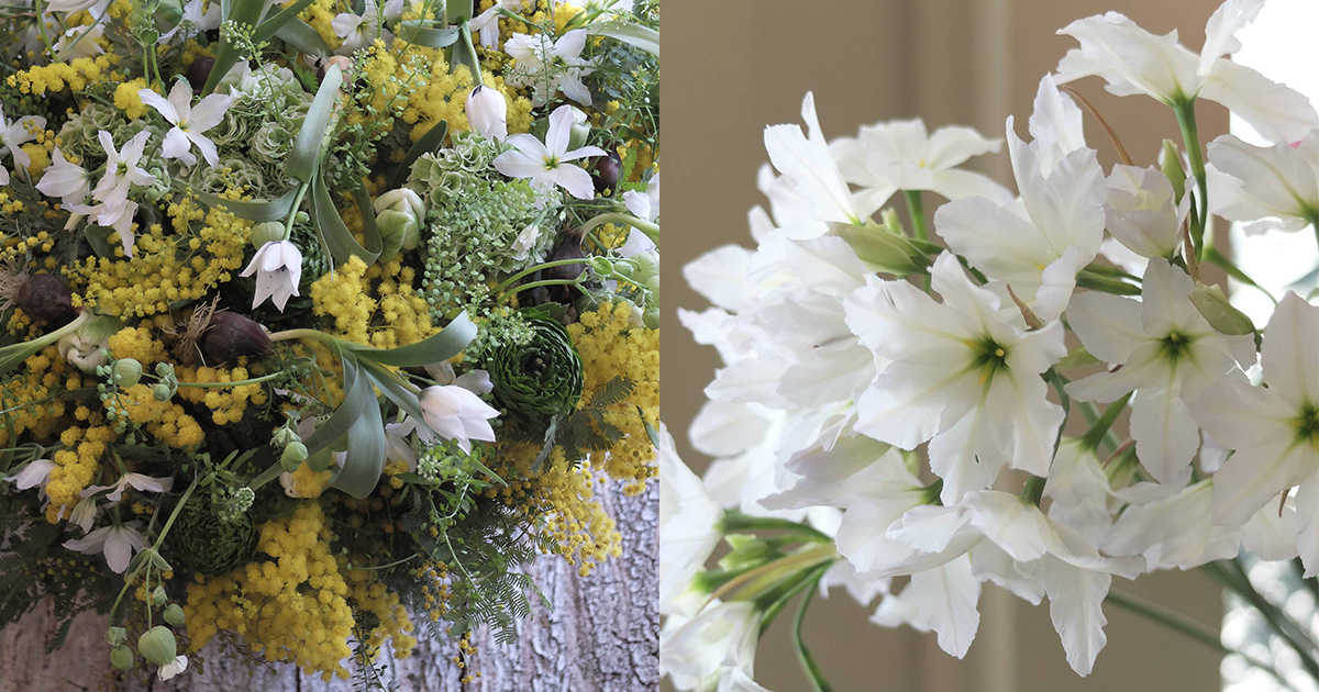 みんぶ– ★分解済★ 白い 花模様 プリザーブドフラワー 花材 即日出荷 ピラミッドアジサイ オフホワイト