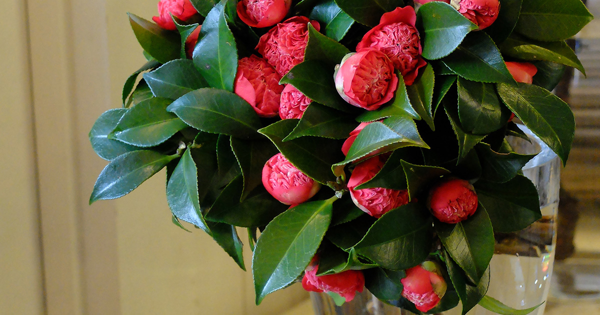 【クリスマス切り花＊ブーケ＊花束】南天＊松葉＊椿の蕾＊山茶花の蕾＊クチナシ＊他 クリスマス切り花＊ブーケ＊花束】南天＊松葉＊椿の蕾＊山茶花の