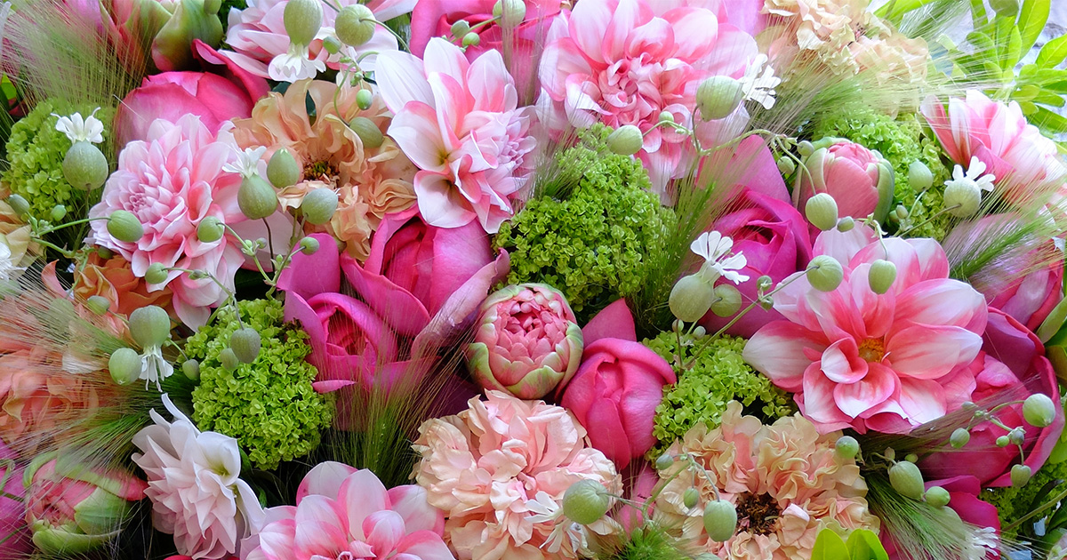 ダリア、バラ、チューリップの華やかな共演！ピンクの花を集めた