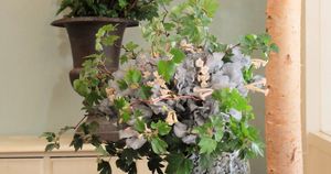 源氏物語の「薄雲」をイメージ。グレーのスイートピーを束ねたブーケ