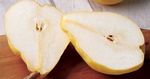 西洋なしの王様「ル レクチエ」の発祥地へ。ピエール・エルメさんと新潟を訪ねる