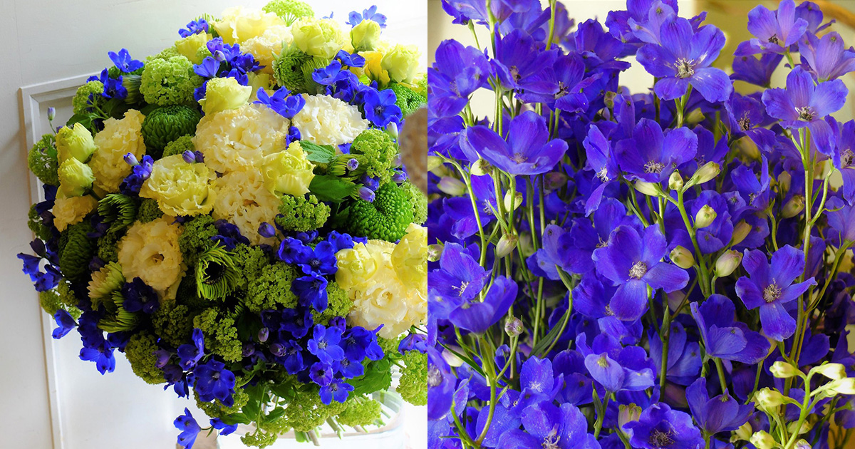 main_8e6f6307f56c52af28007f5fe