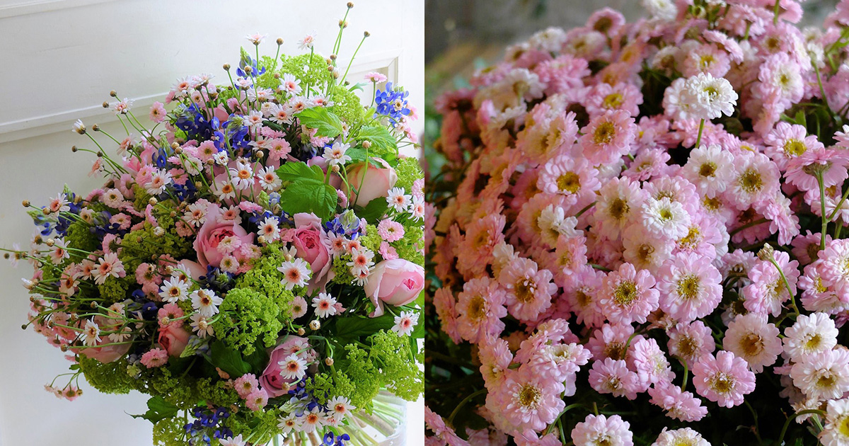 いちごみるく」という名の小花とピンクのマーガレットでラブリーなブーケを