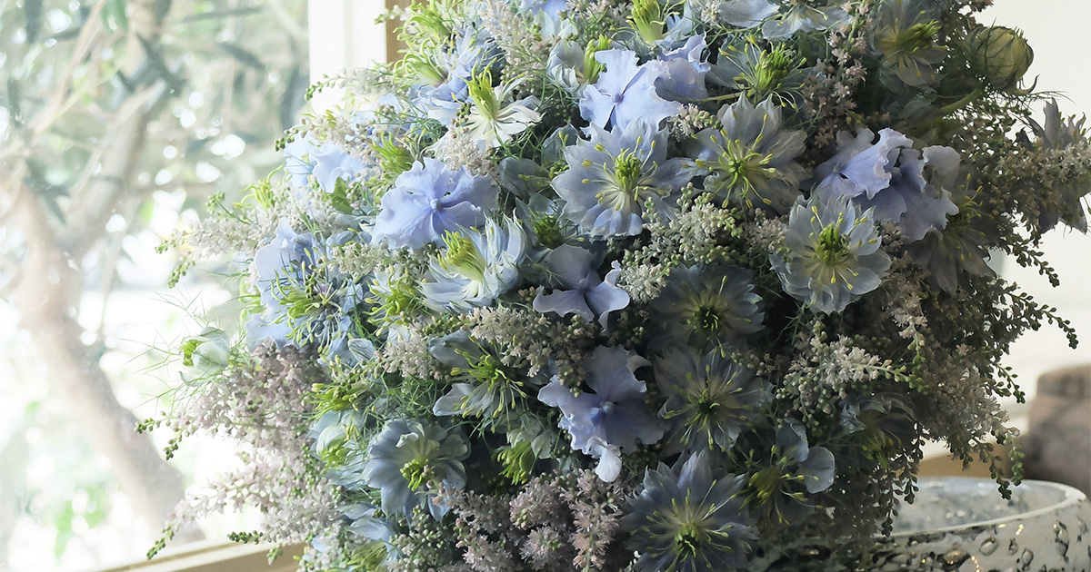 青い花が大好きな女性へ贈る、ナチュラルで優しい雰囲気の「ニゲラ」の