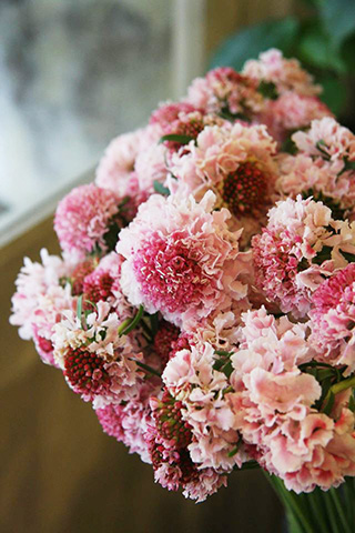 ピンク尽くし！かわいい小花を集めて作る、誕生祝いのブーケ | 家庭画