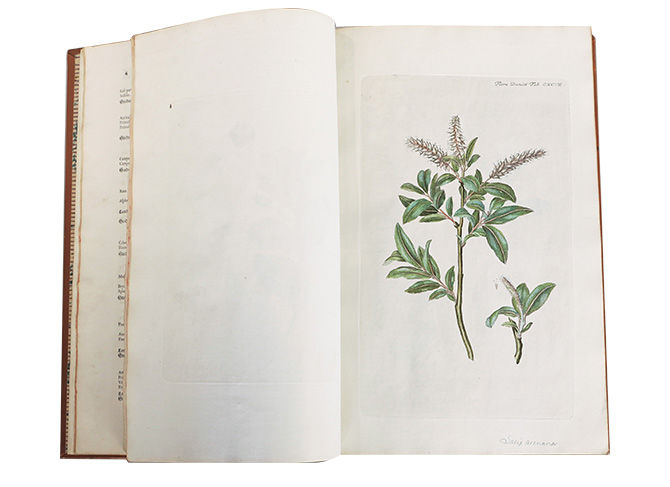 世界にひとつの茶箱で特別なティータイムを楽しみませんか？