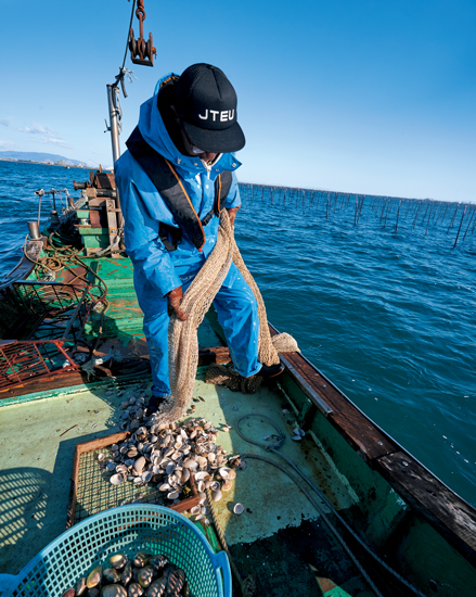 国産のはまぐりは流通量のわずか1割！ はまぐりの名産地・三重県桑名へ