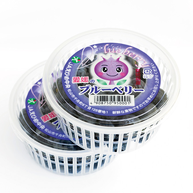 愛媛を生産日本一に」。生産者の思いが詰まったブルーベリー