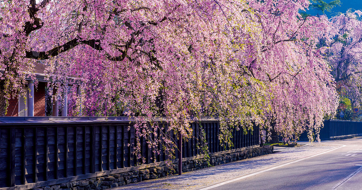 空の境界 タペストリー 秋日の路 main_fa2f006a91ec26223dd9f9136