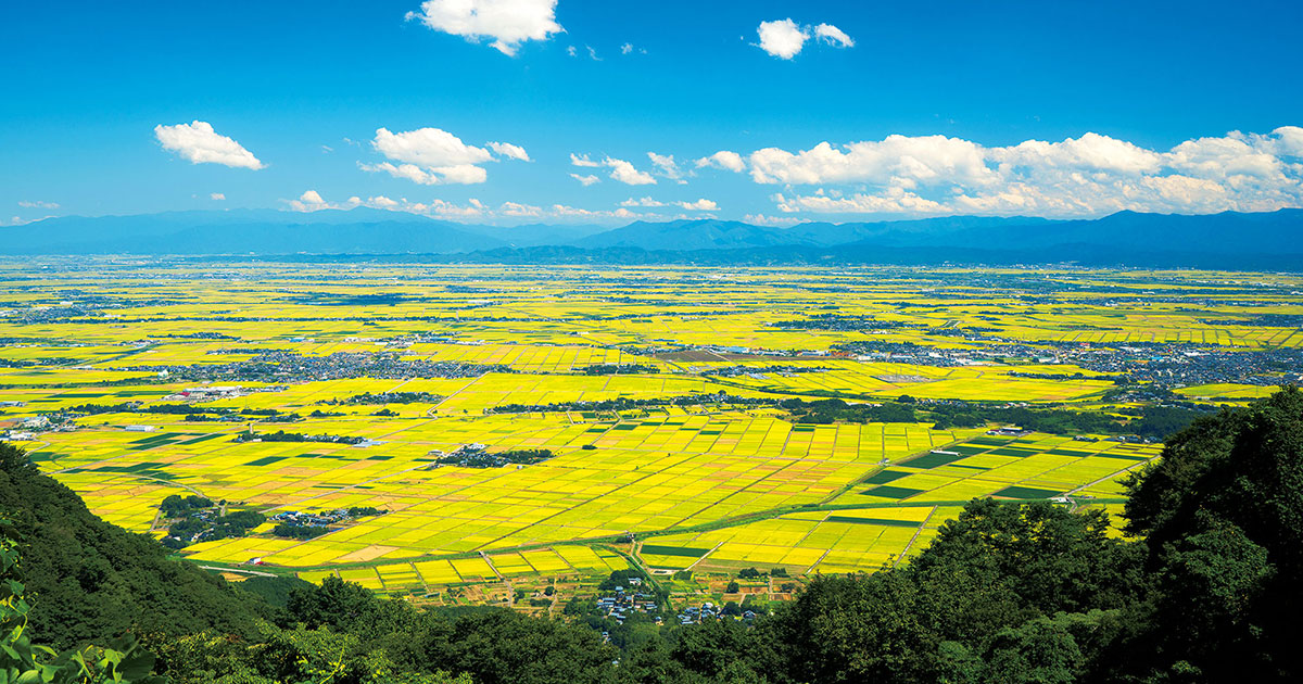 ふるさとの絶景【新潟県】弥彦（やひこ）山の頂上で出合える絶景