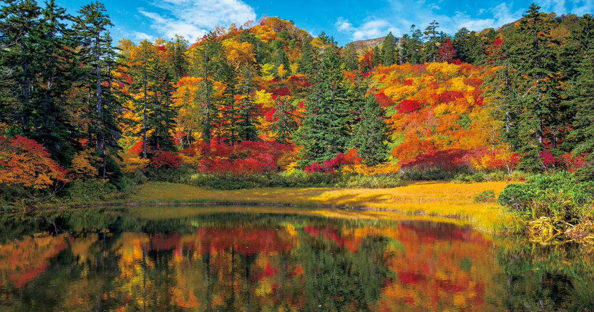 スイス出身のステファン・シャウエッカーさんを魅了した“神々の遊ぶ庭”