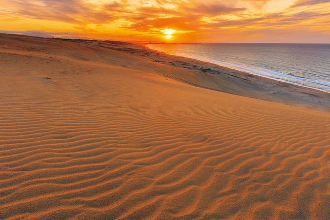 遺品整理◾️蔵から夕焼けの海の空に鳥たちが羽ばたいている雰囲気の良い茶碗が出てきた ふるさとの絶景【鳥取県】海に沈む夕日に照らされる鳥取砂丘