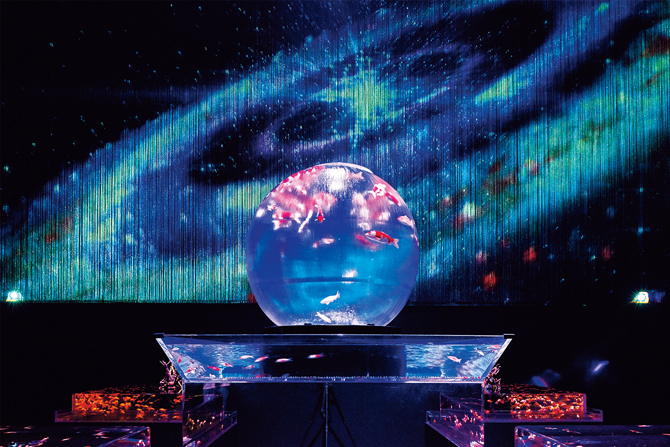 日本橋の夏の風物詩「アートアクアリウム」が待望の常設展としてお目見え