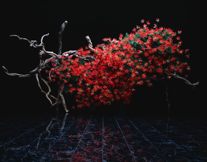 花で世界に元気を届けたい！ 草月会館にて家元による