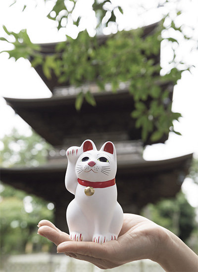 招き猫豪徳寺10号招福猫児