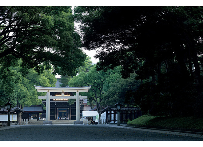 明治神宮」100年目の美と森。鎮座100年を迎える森の社を訪ねて | 家庭