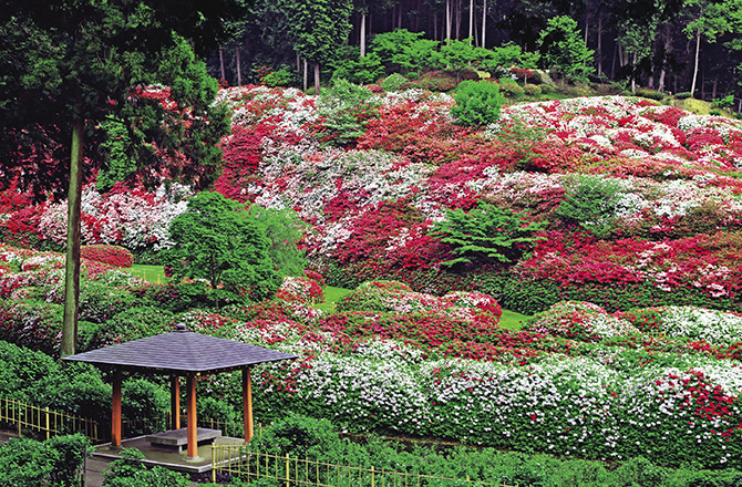 世界遺産高野山と比叡山延暦寺 5月2日発4日間】大迫力の